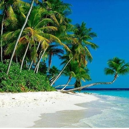 Airbnb At Sri Sayang Batu Ferringhi Beach Luaran gambar
